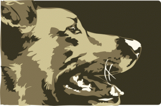 A dog's face in profile