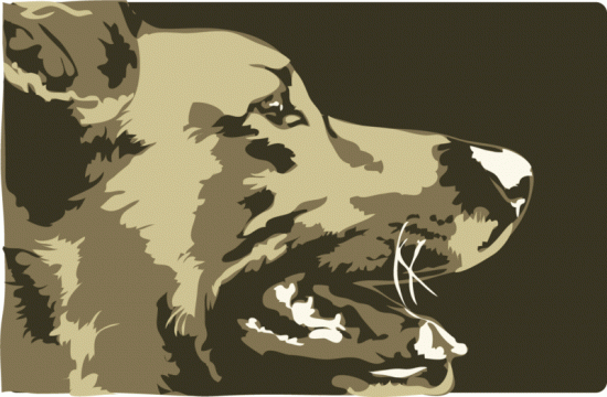 A dog's face in profile